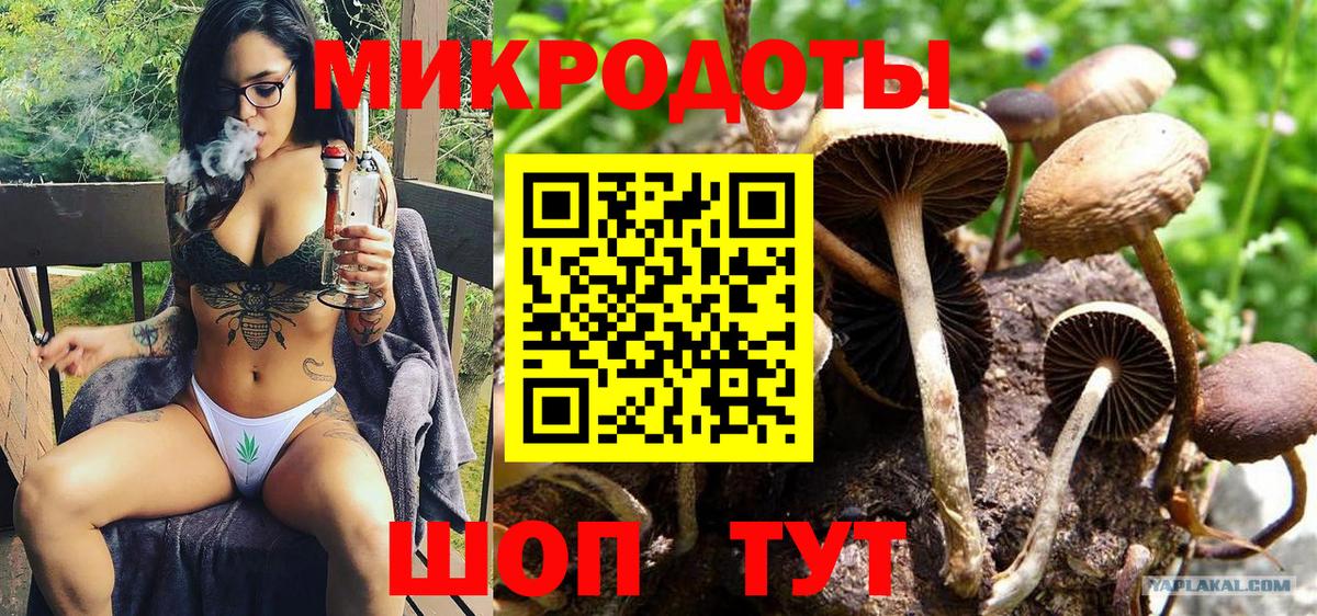 Галлюциногенные грибы GOLDEN TEACHER Зеленокумск